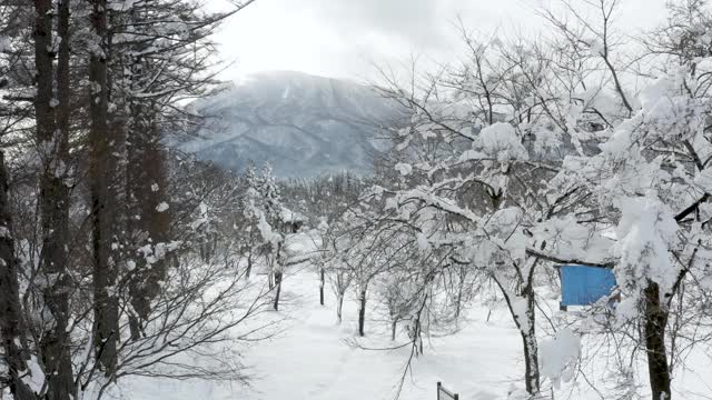 日本新泻山上的雪景视频素材