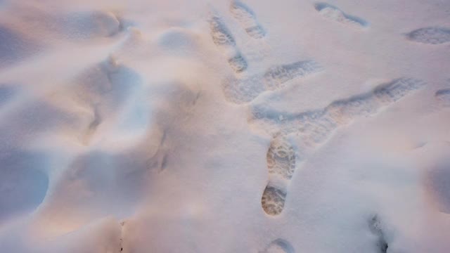 冬天的一天，跟随男人穿着温暖的鞋子在雪地里行走视频下载