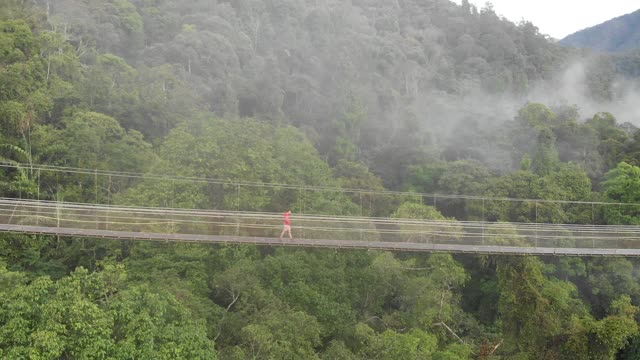 鸟瞰图原位Gunung悬索桥视频素材