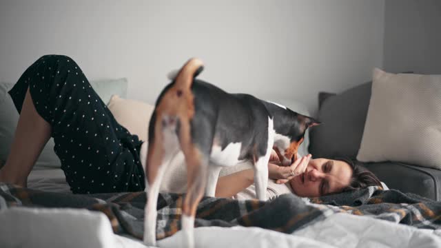 一位成年妇女躺在床上和她有趣的巴森基狗放松玩耍视频素材