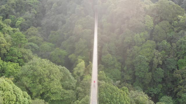 从原位Gunung悬索桥无人机的观点视频素材