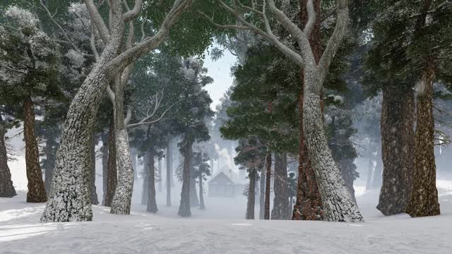 小房子藏在森林里，雪花纷飞视频素材