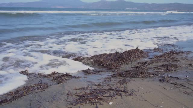 海水的波浪融化在海岸边的海草堆上视频素材