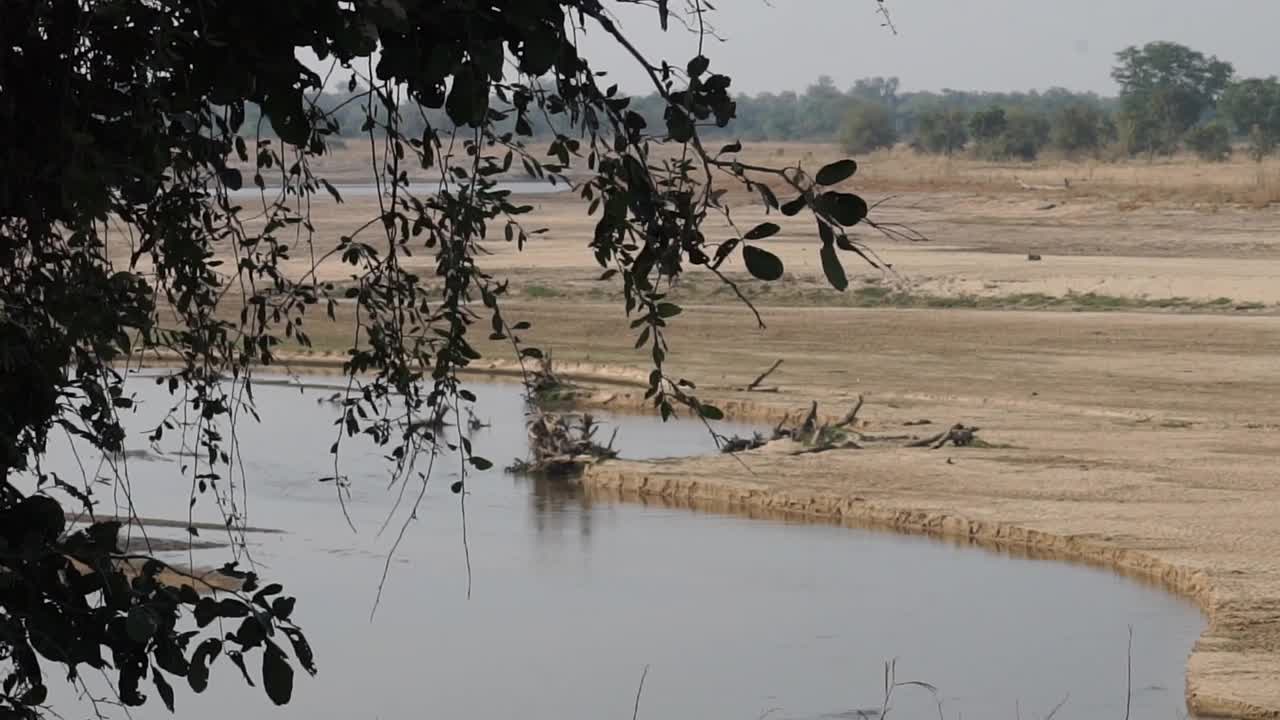 非洲——景观视频素材