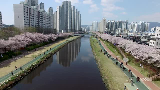 鸟瞰图春龙川市民公园，釜山，韩国，亚洲视频下载