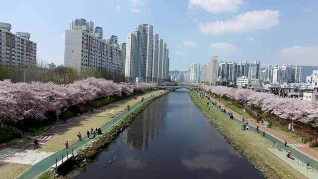 鸟瞰图春龙川市民公园，釜山，韩国，亚洲视频下载