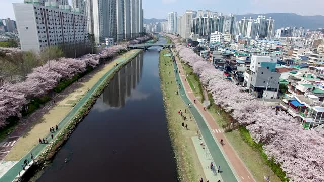 鸟瞰图春龙川市民公园，釜山，韩国，亚洲视频下载