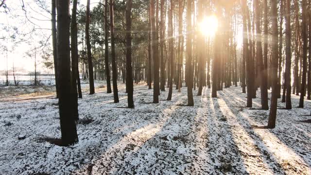 冰雪覆盖的冬日森林和夕阳下的阳光视频素材