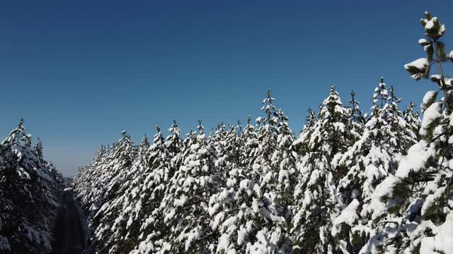 冬季仙境视频素材