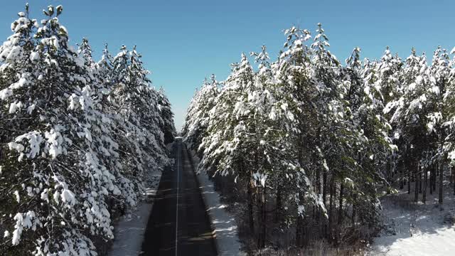 冬季仙境视频素材