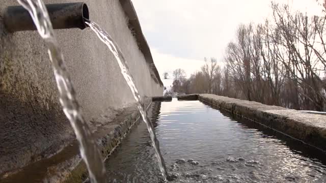 清冽的泉水流淌在村庄的喷泉中，为许多动物提供了水槽视频素材