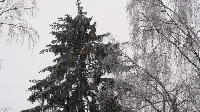 芬兰赫尔辛基居民区的降雪视频素材