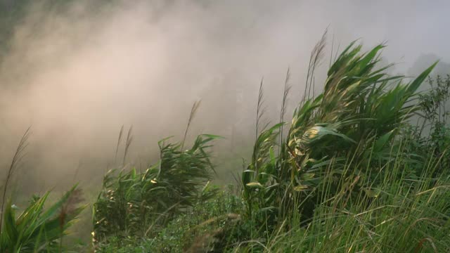 色彩缤纷的秋天日出，日落在自然的背景。灵感远足和旅游概念视频素材