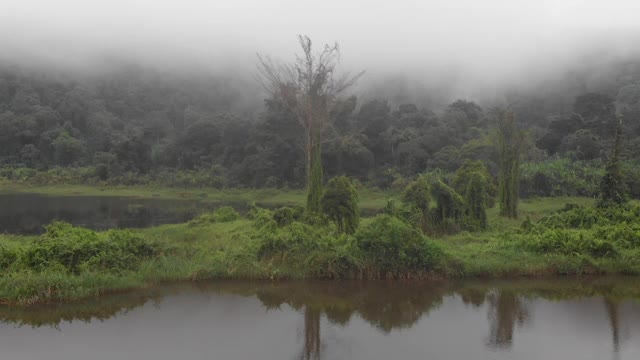 印度尼西亚Sukabumi的Situ Gunung的森林自然和湖泊视频素材