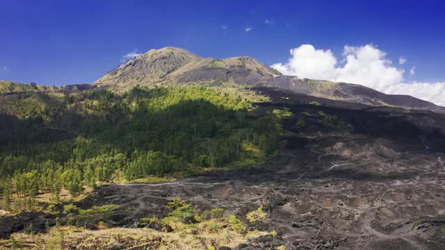 印度尼西亚巴图尔火山周围的潮湿热带雨林和黑色熔岩田的景观。4 k鸟瞰图视频素材