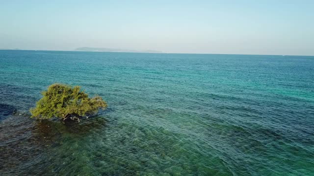 海浪的鸟瞰图视频下载