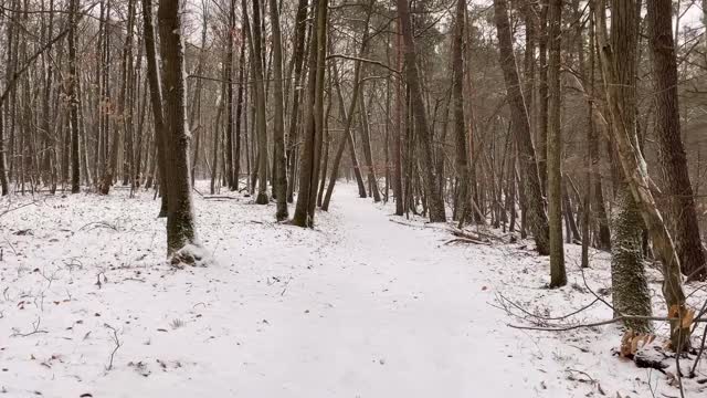 大自然的冬天。视频素材