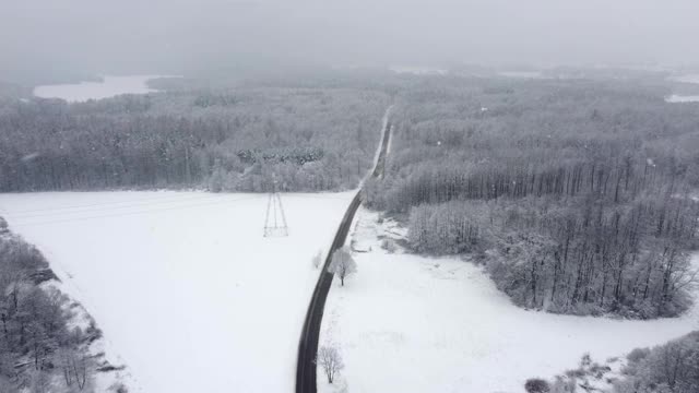 黑色柏油路之间的雪林从鸟瞰视频素材