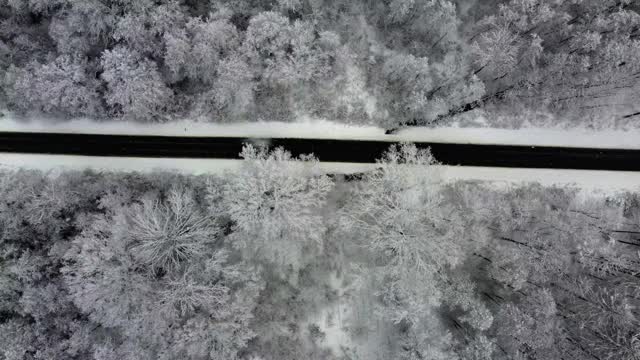 黑色柏油路之间的雪林从鸟瞰视频素材