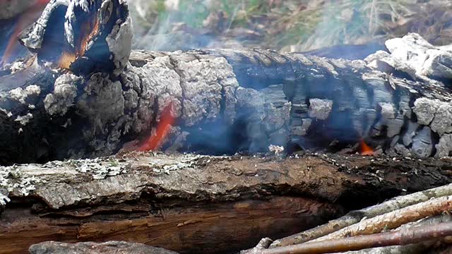 炉火在壁炉里熊熊燃烧。视频素材