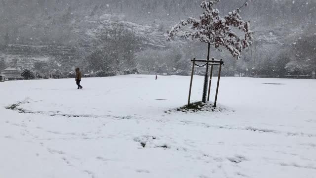 比尔湖边下雪的天气视频素材