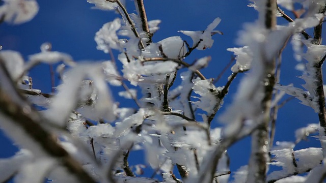 冰雪风暴视频素材