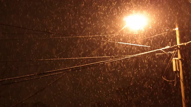 雪在夜里落在路灯上视频素材