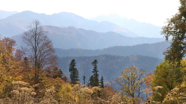 金秋群山的壮丽景色视频素材