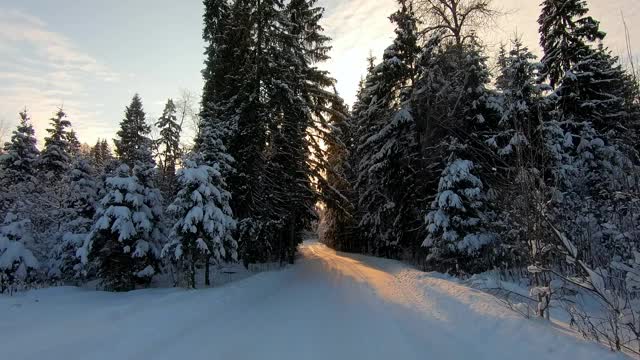 在冬天霜冻的日子里，一辆汽车穿过美丽的雪林。美丽的大自然在雪景映衬下湛蓝的天空视频素材