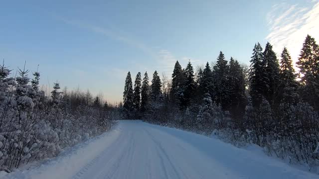 在冬天霜冻的日子里，一辆汽车穿过美丽的雪林。美丽的大自然在雪景映衬下湛蓝的天空视频素材