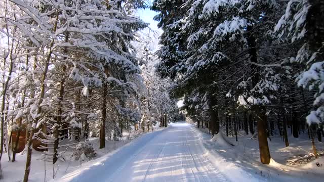 在冬天霜冻的日子里，一辆汽车穿过美丽的雪林。美丽的大自然在雪景映衬下湛蓝的天空视频素材