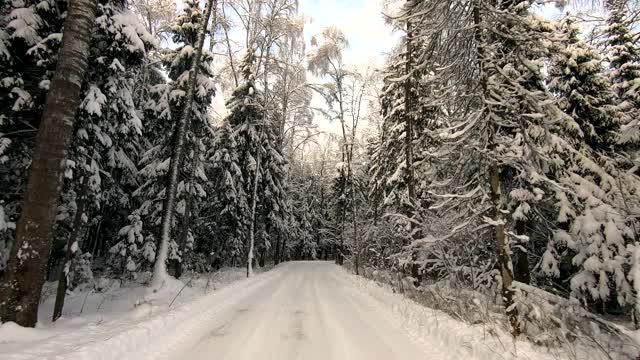 在冬天霜冻的日子里，一辆汽车穿过美丽的雪林。美丽的大自然在雪景映衬下湛蓝的天空视频素材