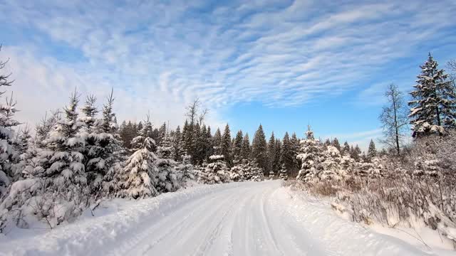 在冬天霜冻的日子里，一辆汽车穿过美丽的雪林。美丽的大自然在雪景映衬下湛蓝的天空视频素材