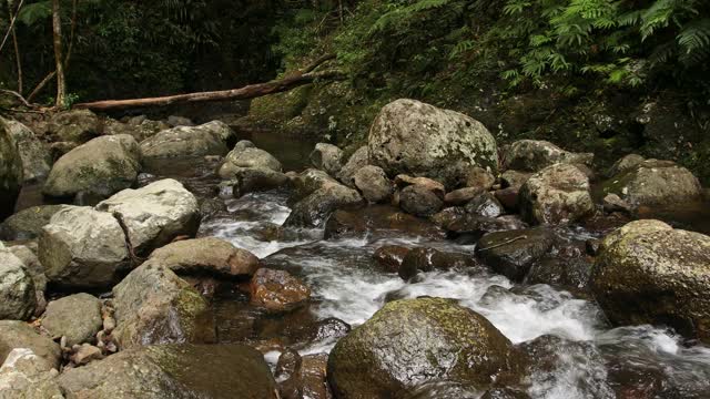 澳大利亚拉明顿国家公园的库默拉河视频素材