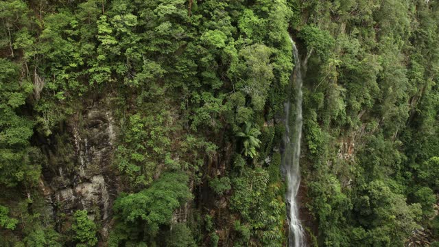 澳大利亚拉明顿国家公园的Yarrabilgong瀑布视频素材