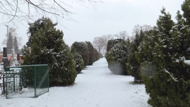 第一个人的看法，行走在冬季槽墓地与雪的道路和树木与相机抖动视频素材