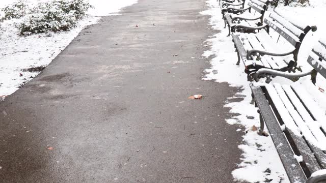 寒冷的冬日里，公园里的草地上有雪，木凳上有相机抖动视频素材