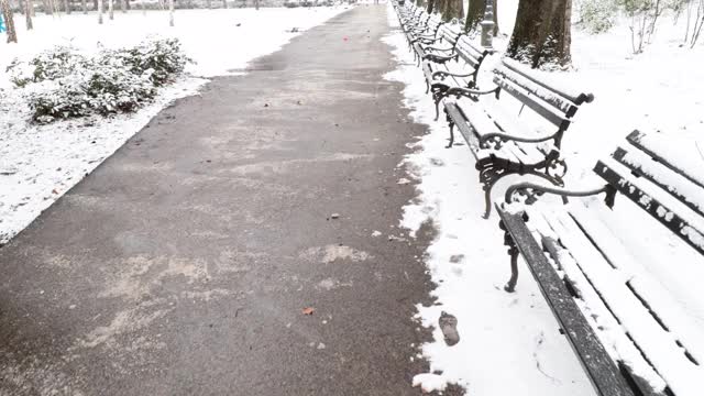 步行穿过公园的第一个人的看法，在冬天的人行道上有雪和木制长椅与相机抖动视频素材