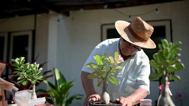 这位快乐的老人照料着房子花园里的树。这位老人把种树作为退休后的一项活动。视频下载