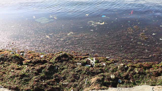 海洋污染与海浪视频素材