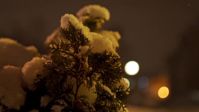 下雪的时候，美丽就在我们身边视频素材