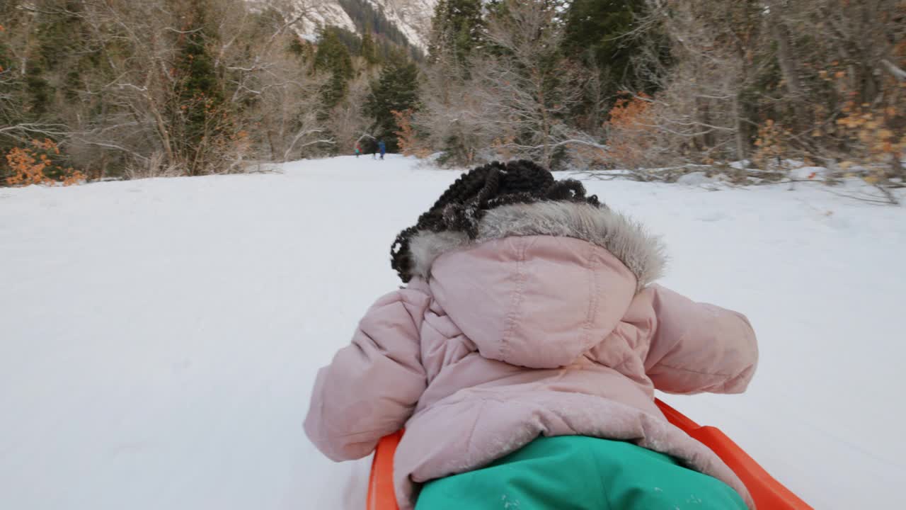 家庭冬季滑雪橇视频素材