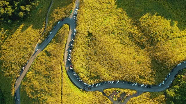 空中花田通Buatong超过泰国北部的山视频素材