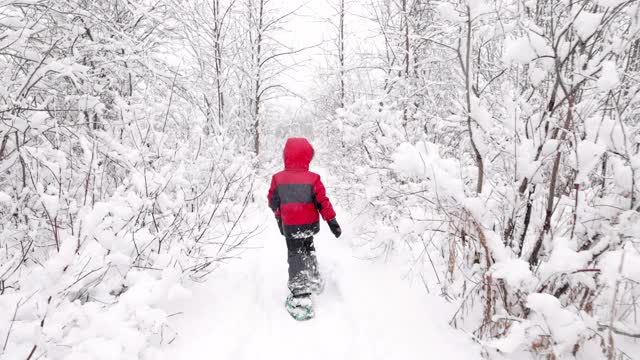 在暴风雪期间，小男孩和他的家人在户外穿雪鞋视频素材