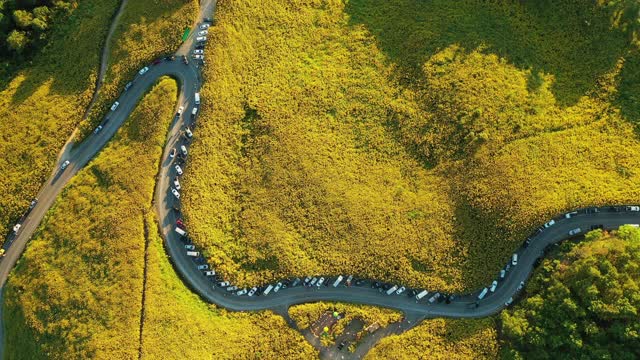 空中花田通Buatong超过泰国北部的山视频素材