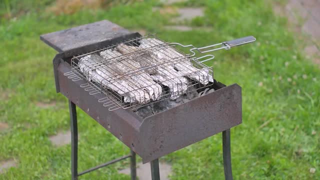 季节性户外活动，烧烤与肉箔特写。视频下载