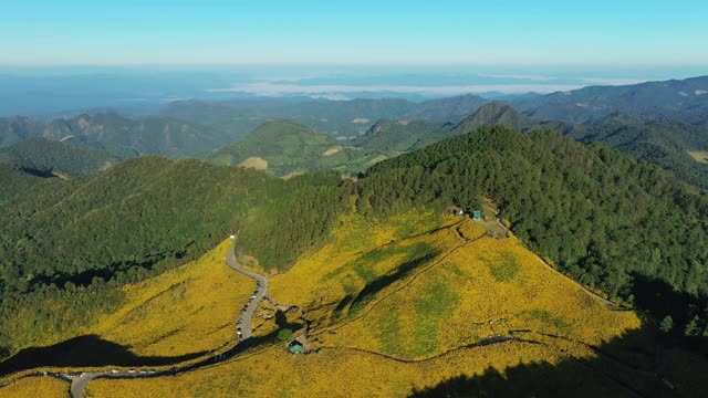 空中的春天，风景-风景花田通Buatong泰国北部视频素材