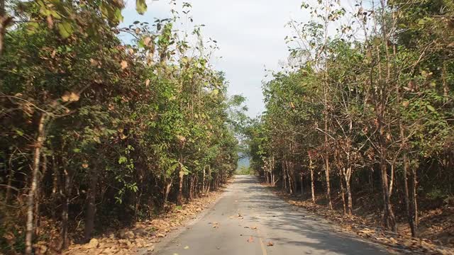 在乡村道路上行驶时从车内看到的景色视频素材