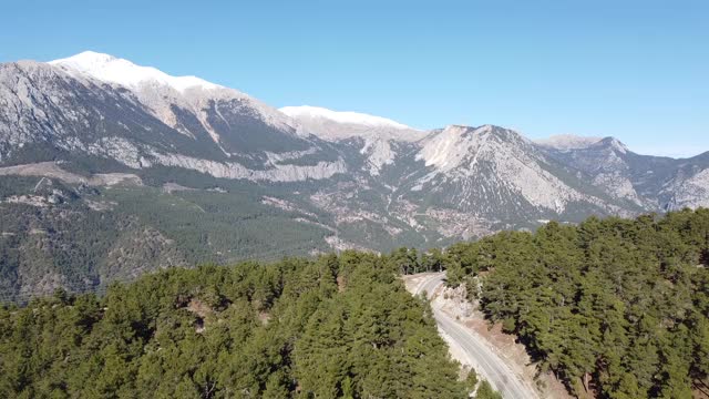 用无人机从右到左扫荡松林之间的山路。视频素材