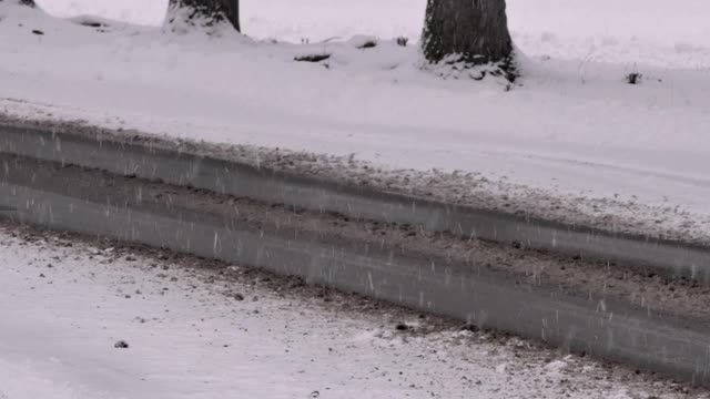 雪路视频下载